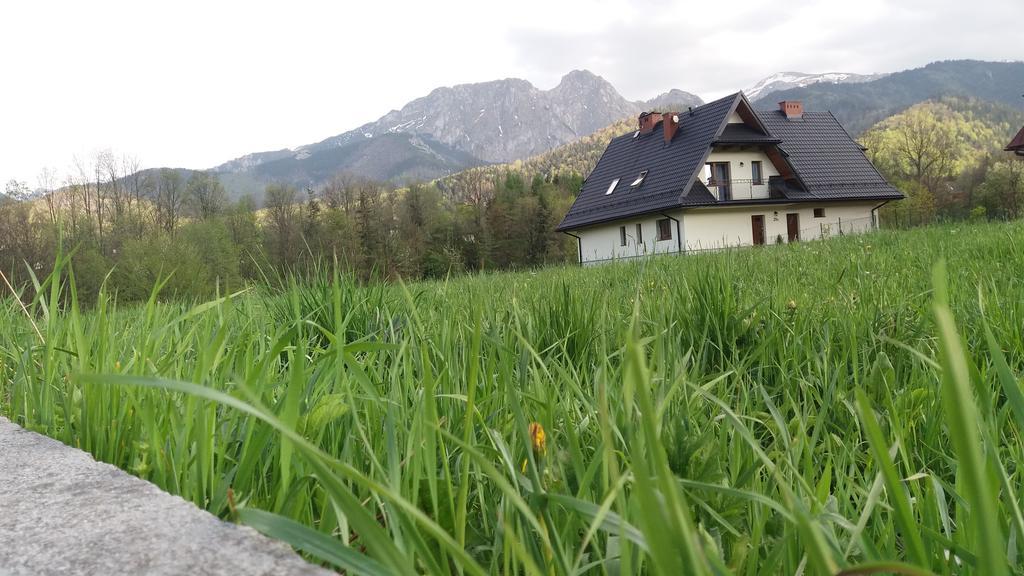 Willa W Dolinie Cichej Wody Zakopane Exterior foto