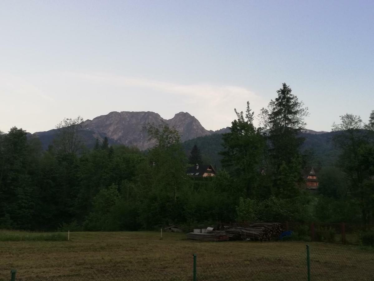 Willa W Dolinie Cichej Wody Zakopane Exterior foto